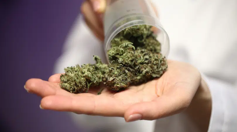 What Does Weed Do to Your Brain and Body