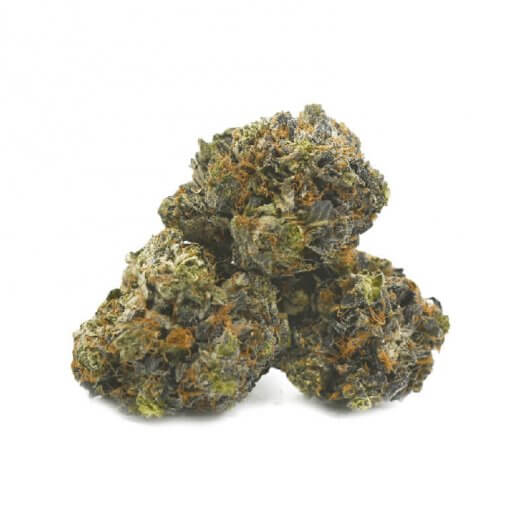 Cannabis Rockstar 2a Close-up