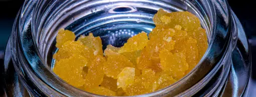 Gorilla Glue #4 Sugar Wax - Balanced Hybrid