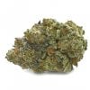 G13 - Indica-dominant hybrid