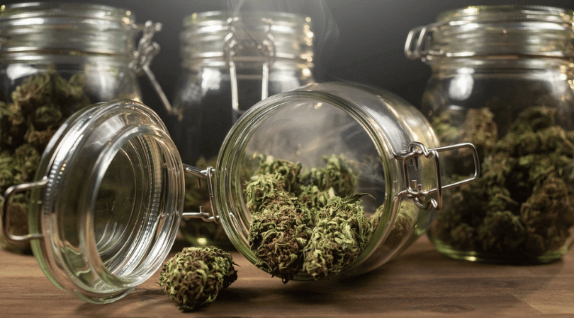 12 Ways to Improve Cannabis Bud Quality