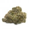 El Chapo - Indica Dominant Hybrid