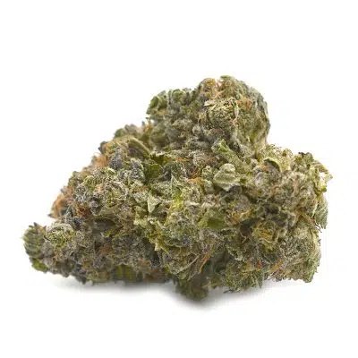 El Chapo - Indica Dominant Hybrid