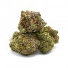High-quality El Chapo cannabis strain
