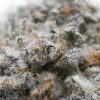 Gorilla Glue - Popeyes Ganja Bags - Image 3