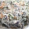 Gorilla Glue - Popeyes Ganja Bags - Image 4
