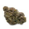Black Cherry Punch - Thunder Buddies