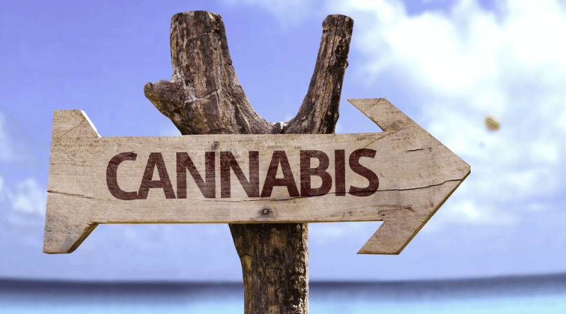 Cannabis Travel Guide for 2022