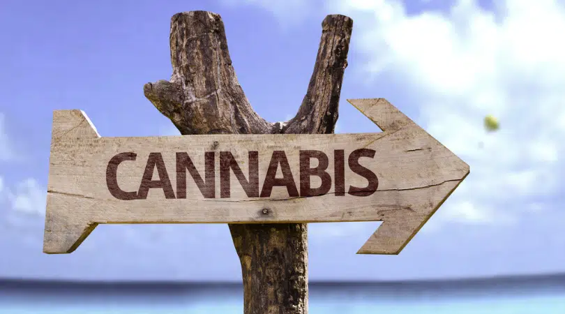 Cannabis Travel Guide for 2022