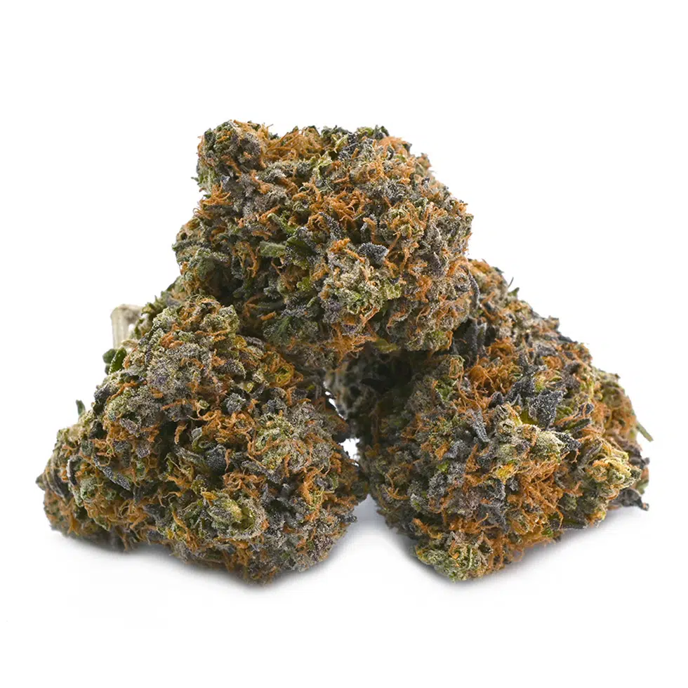 Grease Monkey Strain