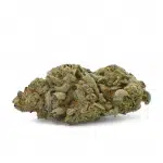 Mendo Breath - Thunder Buddies Image
