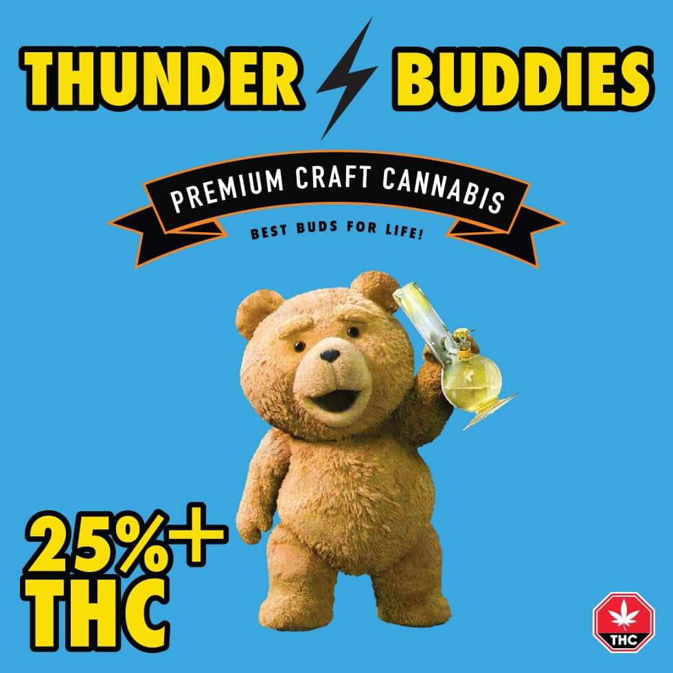 Thunder Buddies Image