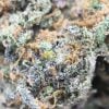 Premium Gelato Runtz marijuana - sweet and fruity aroma