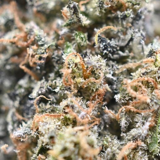 Northern Lights - Popeyes Ganja Bags - Image 3