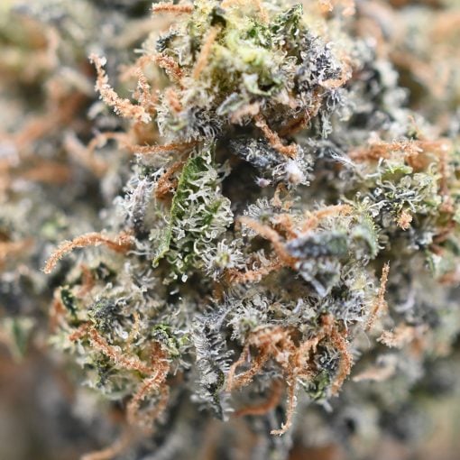 Northern Lights - Popeyes Ganja Bags - Image 4