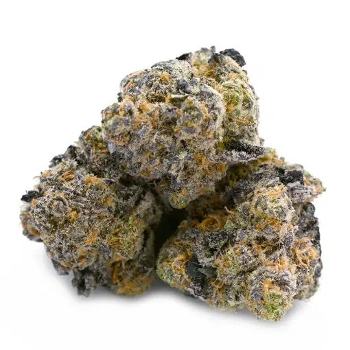 Grease Monkey - Thunder Buddies - Image 2