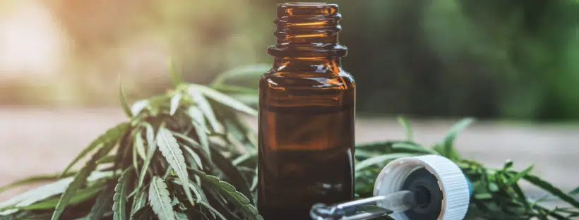 WEED Gift Guide For Holidays
