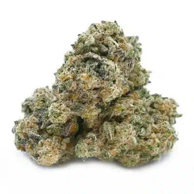 MAC 4 Thunder Buddies Cannabis Strain