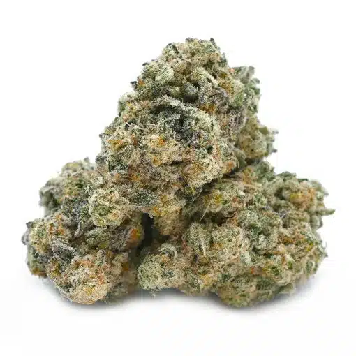 MAC 4 Thunder Buddies Cannabis Strain