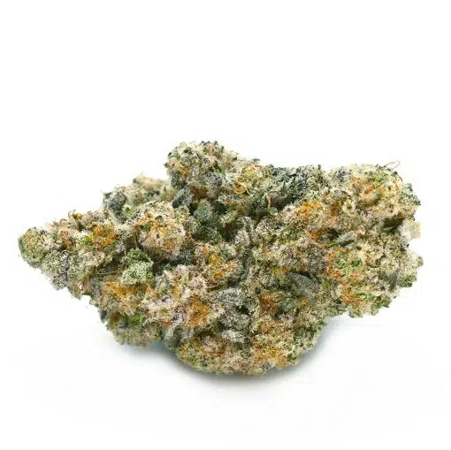 Thunder Buddies - Balanced Hybrid