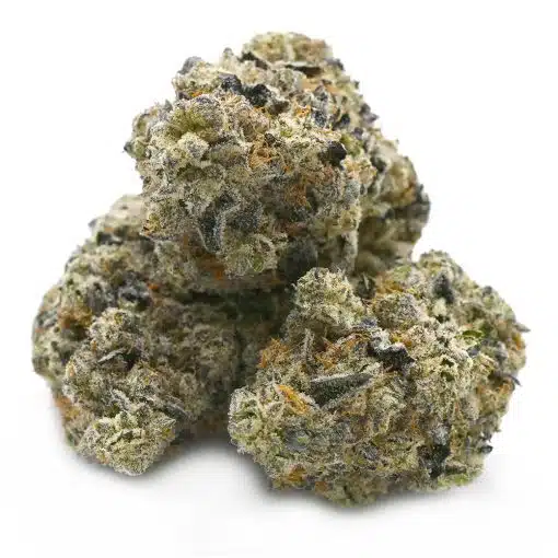 Mimosa Thunder Buddies cannabis strain