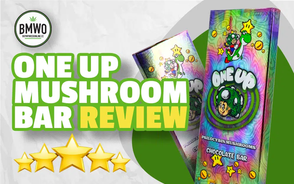 one up mushroom bar