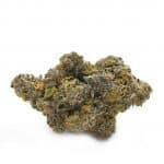 Alien Breath - Thunder Buddies Image