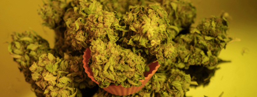 Craft Cannabis Strains Are Extra Flavorful