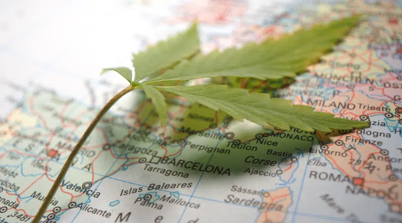 A Handy Guide To Consuming Cannabis in Europe