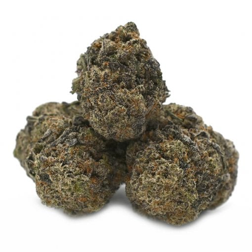 Cotton Candy - Thunder Buddies - Image 2