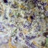Buy Slap N Tickle Thunder Buddies Marijuana Online