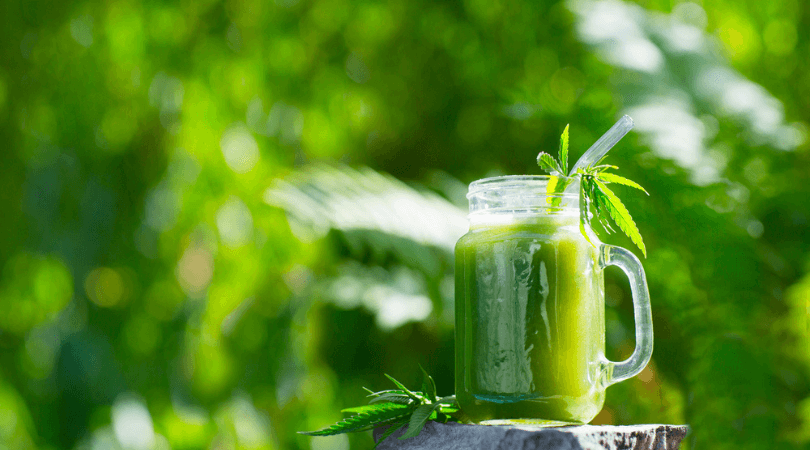 8 Best Cannabis-Infused Drinks And How To Make Them