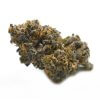 Platinum Blueberry - Indica strain