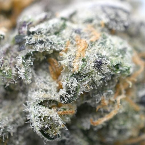 Fruity Pebbles OG - Popeyes Ganja Bags - Image 3