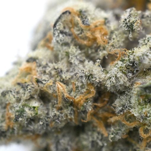 Fruity Pebbles OG - Popeyes Ganja Bags - Image 4
