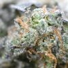 Mac Daddy - Popeyes Ganja Bags - Image 3
