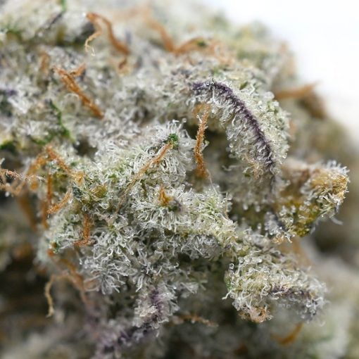 MAC Cake marijuana buds - top-shelf hybrid strain