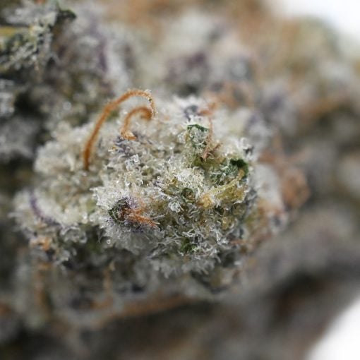 Buy MAC Cake strain online - potent cannabis hybrid