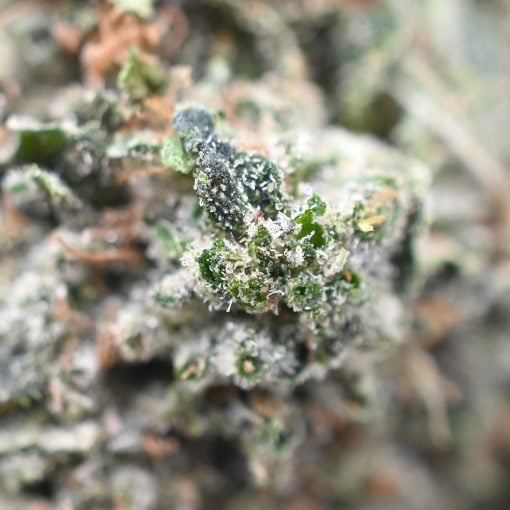 Pink Kush - Popeyes Ganja Bags - Image 3