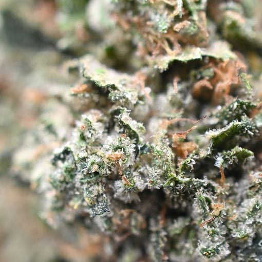 Pink Kush - Popeyes Ganja Bags - Image 4