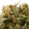 Island Sweet Skunk - Popeyes Ganja Bags - Image 3