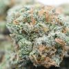 Alaskan Thunderfuck - Image 3