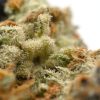 Fruit Punch - Popeyes Ganja Bags - Image 4