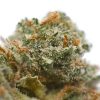 Sour Diesel Bud - High-Quality Cannabis