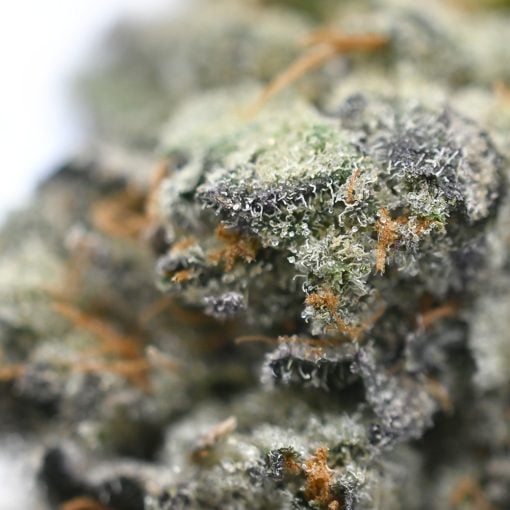 Purple Space Cookies &#8211; Thunder Buddies