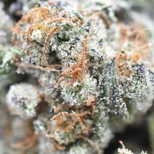 Strawberry Cough - Popeyes Signature Series - Image 3