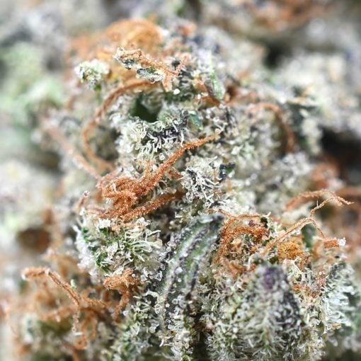 Strawberry Cough - Popeyes Signature Series - Image 4