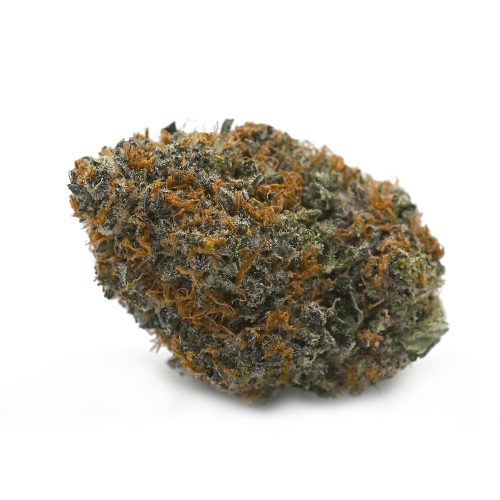 High School Sweetheart Strain Balanced Hybrid with Sweet Aroma