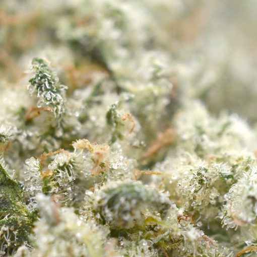 Banana Cream Cake  - Popeyes Ganja Bags - Image 3