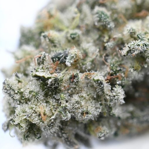 Banana Cream Cake  - Popeyes Ganja Bags - Image 4